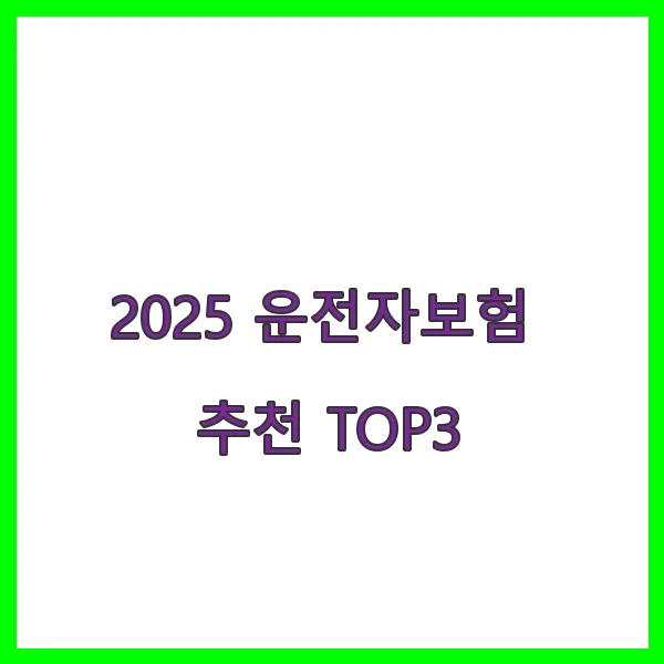 2025 운전자보험 추천 TOP3