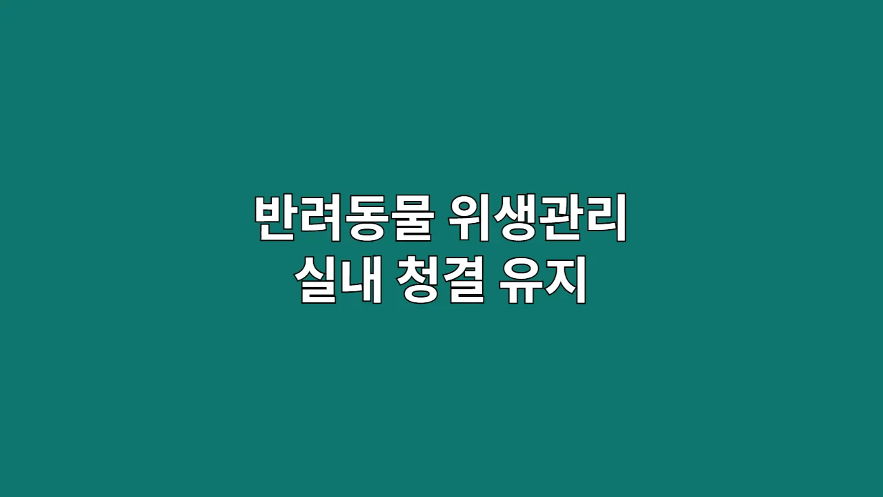 반려동물 위생관리 팁! 계절 변화에도 실내를 청결하게 유지하는 방법