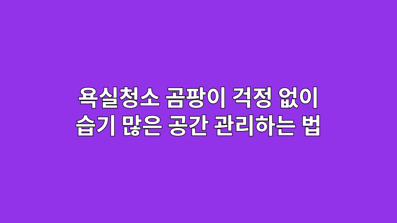 욕실청소 곰팡이 걱정 없이 습기 많은 공간 관리하는