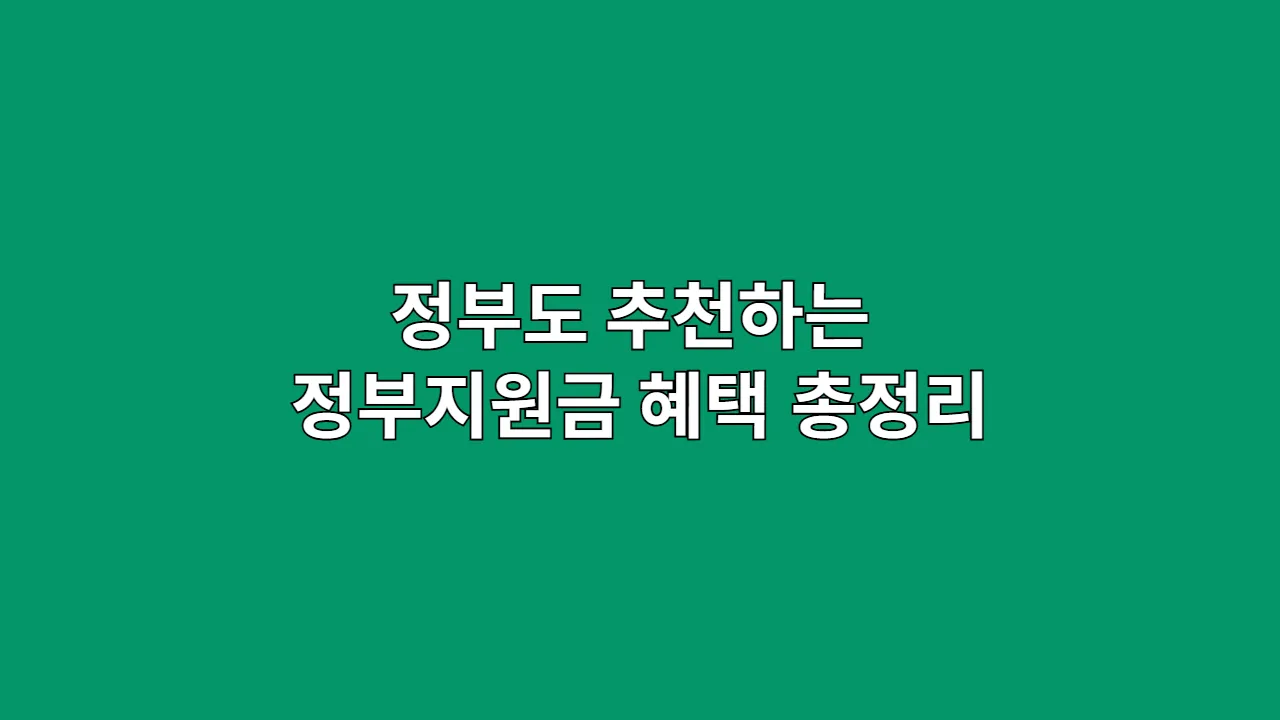 정부도 추천하는 정부지원금 혜택 총정리