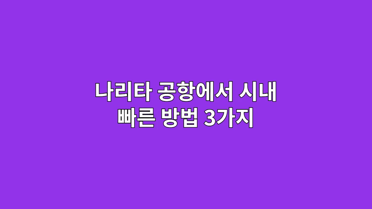 나리타 공항에서 시내 빠른 방법 3가지