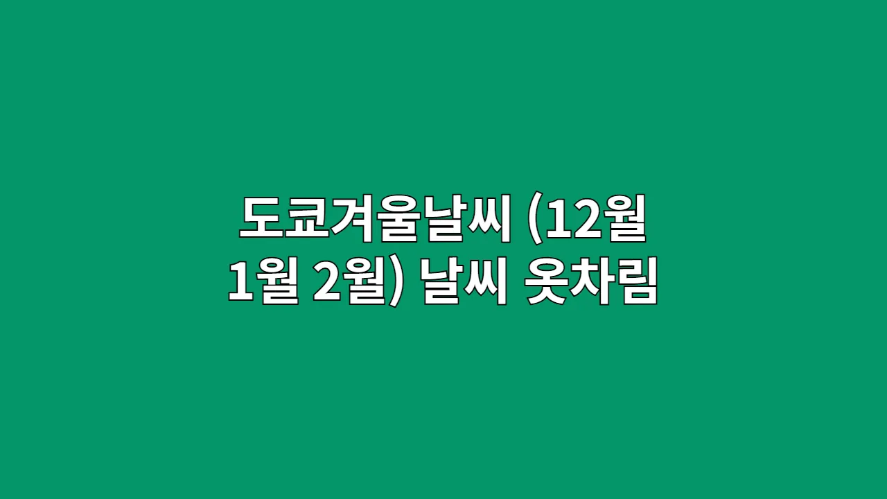 도쿄겨울날씨 (12월 1월 2월) 날씨 옷차림