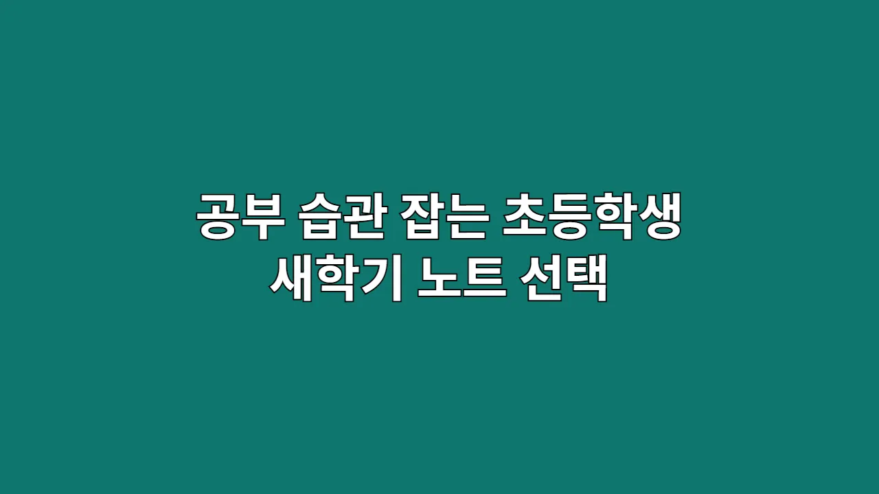 공부 습관 잡는 초등학생 새학기 노트 선택