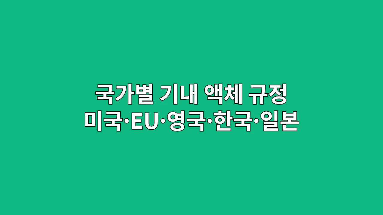 국가별 기내 액체 규정 미국·EU·영국·한국·일본