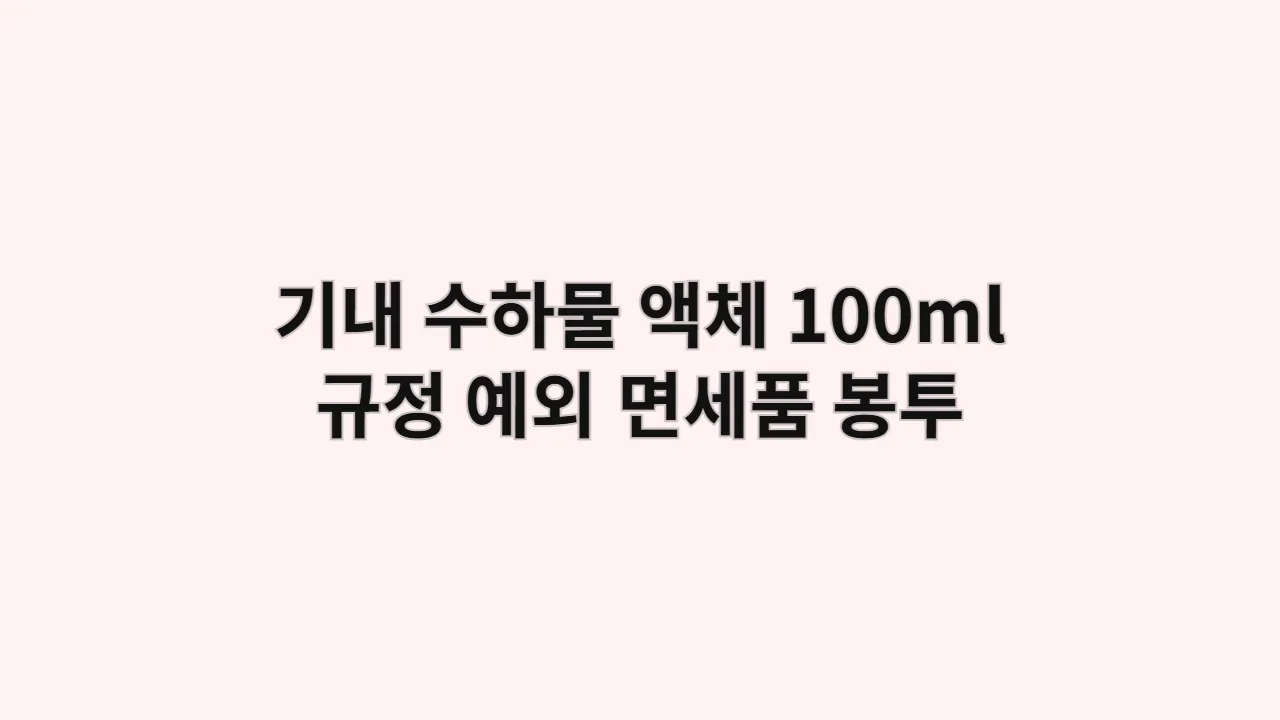 기내 수하물 액체 100ml 규정 예외 면세품 봉투