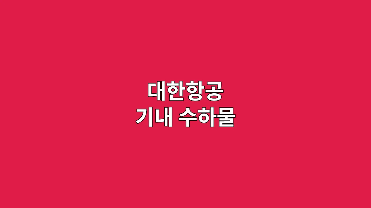 대한항공 기내 수하물