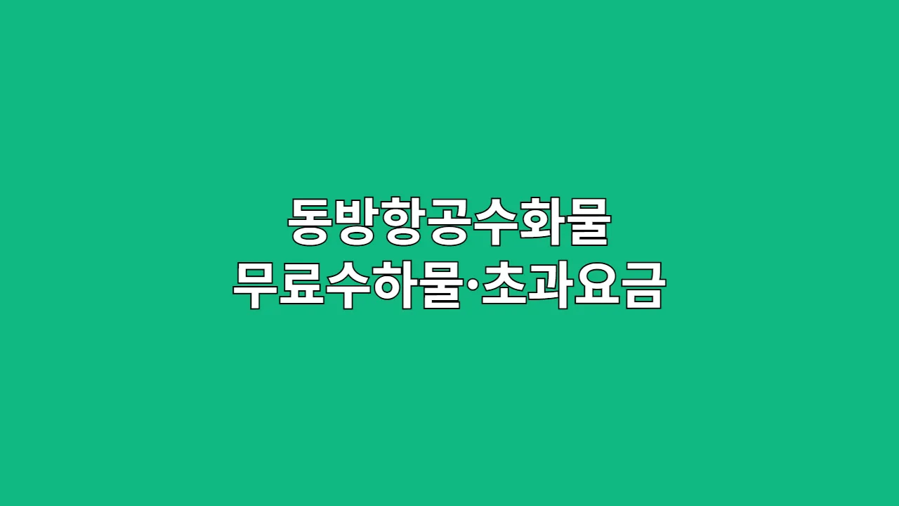 동방항공수화물 무료수하물·초과요금