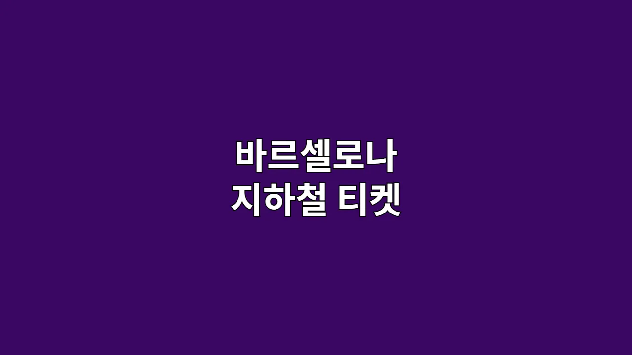 바르셀로나 지하철 티켓