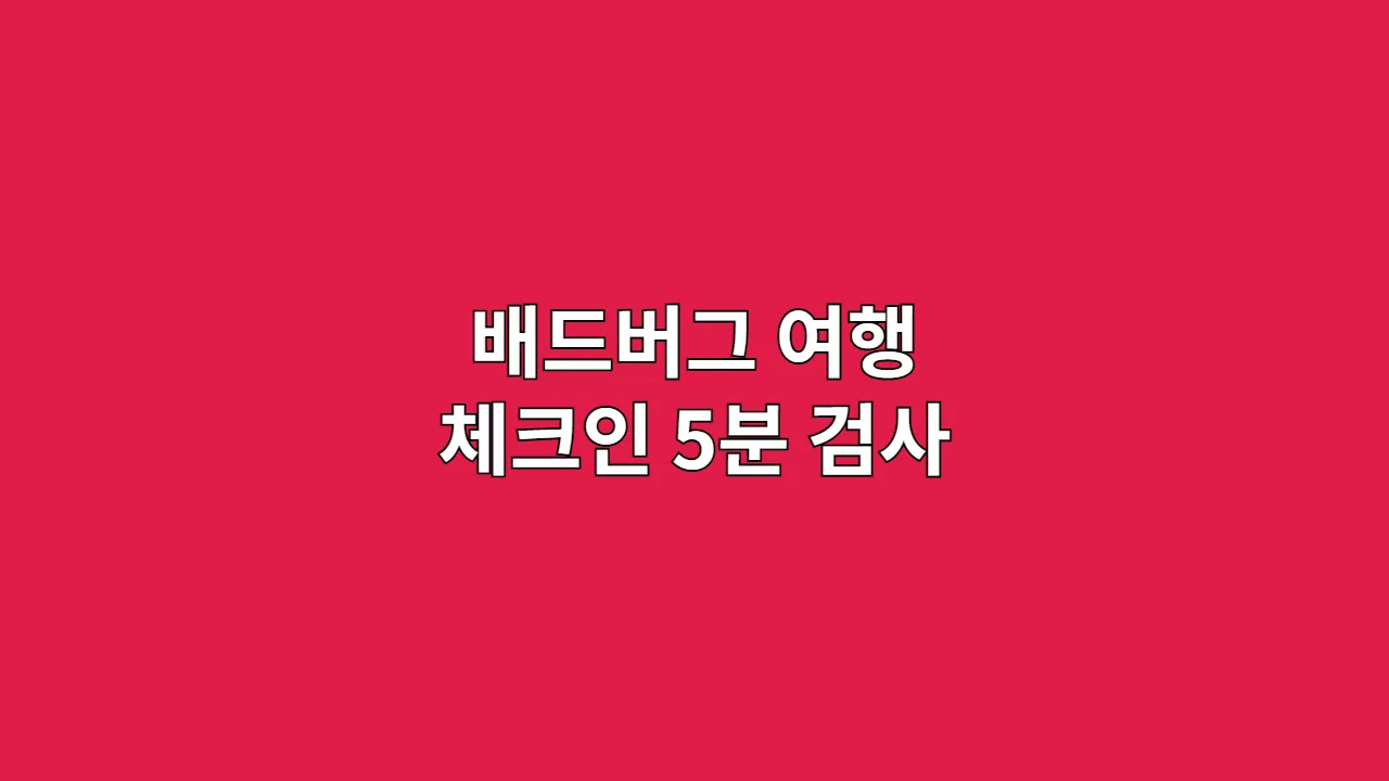 배드버그 여행 체크인 5분 검사