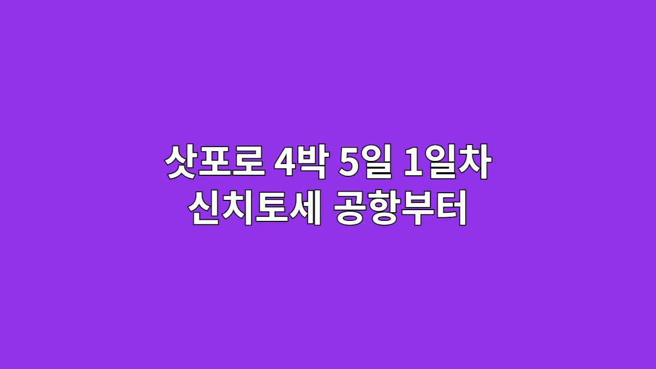 삿포로 4박 5일 1일차 신치토세 공항부터