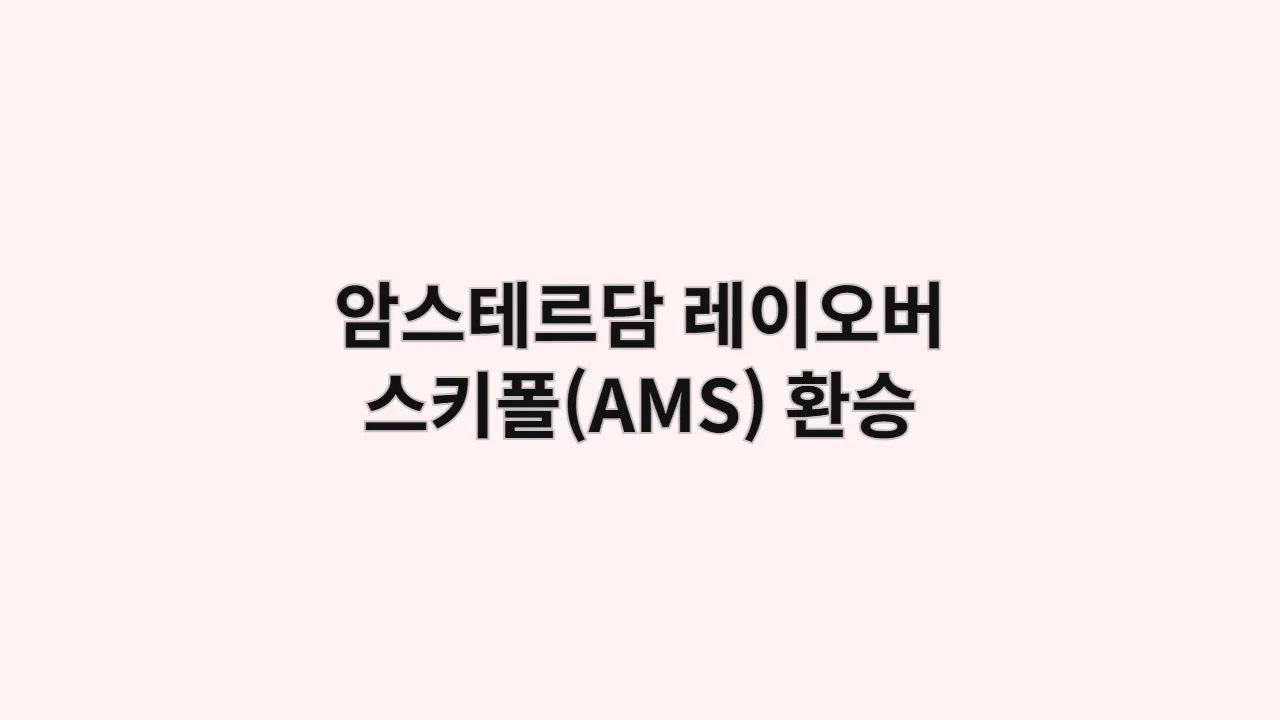 암스테르담 레이오버 스키폴(AMS) 환승