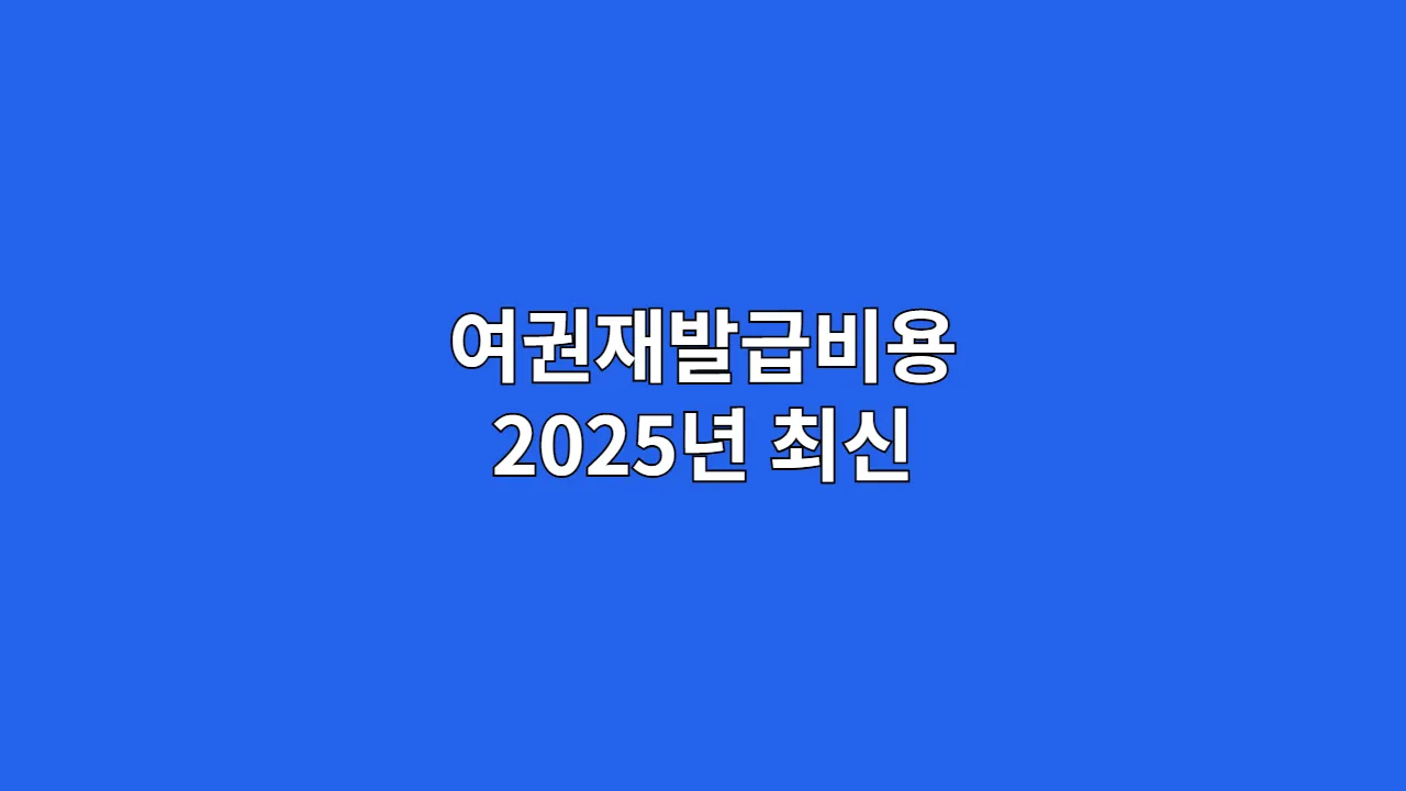 여권재발급비용 2025년 최신