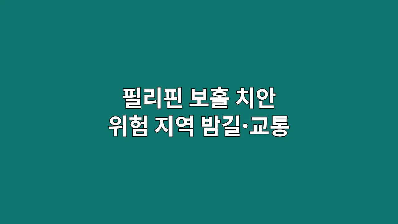 필리핀 보홀 치안 위험 지역 밤길·교통