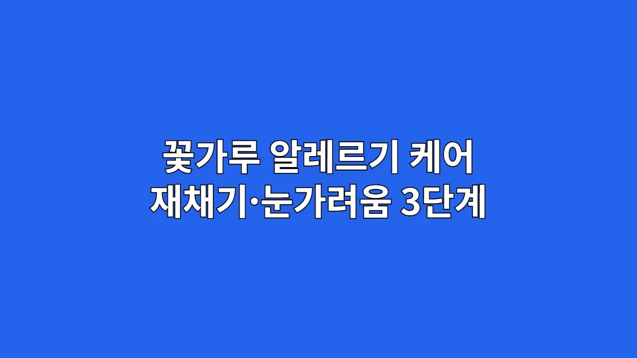 꽃가루와의 전쟁 선포! 재채기와 눈 가려움에서 모험가를 구해 줄 3단계 방어 프로토콜