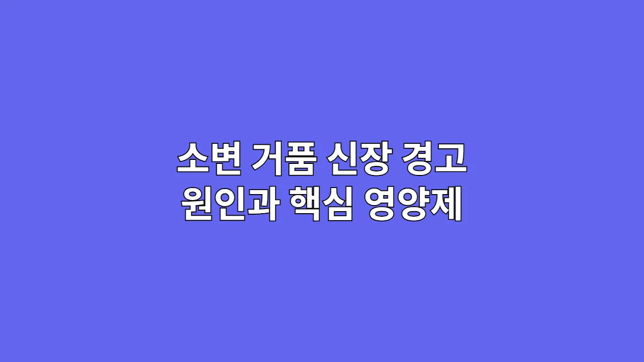 소변 거품, 신장이 보내는 조용한 경고 신호? 원인과 핵심 영양제 3가지(2025년)