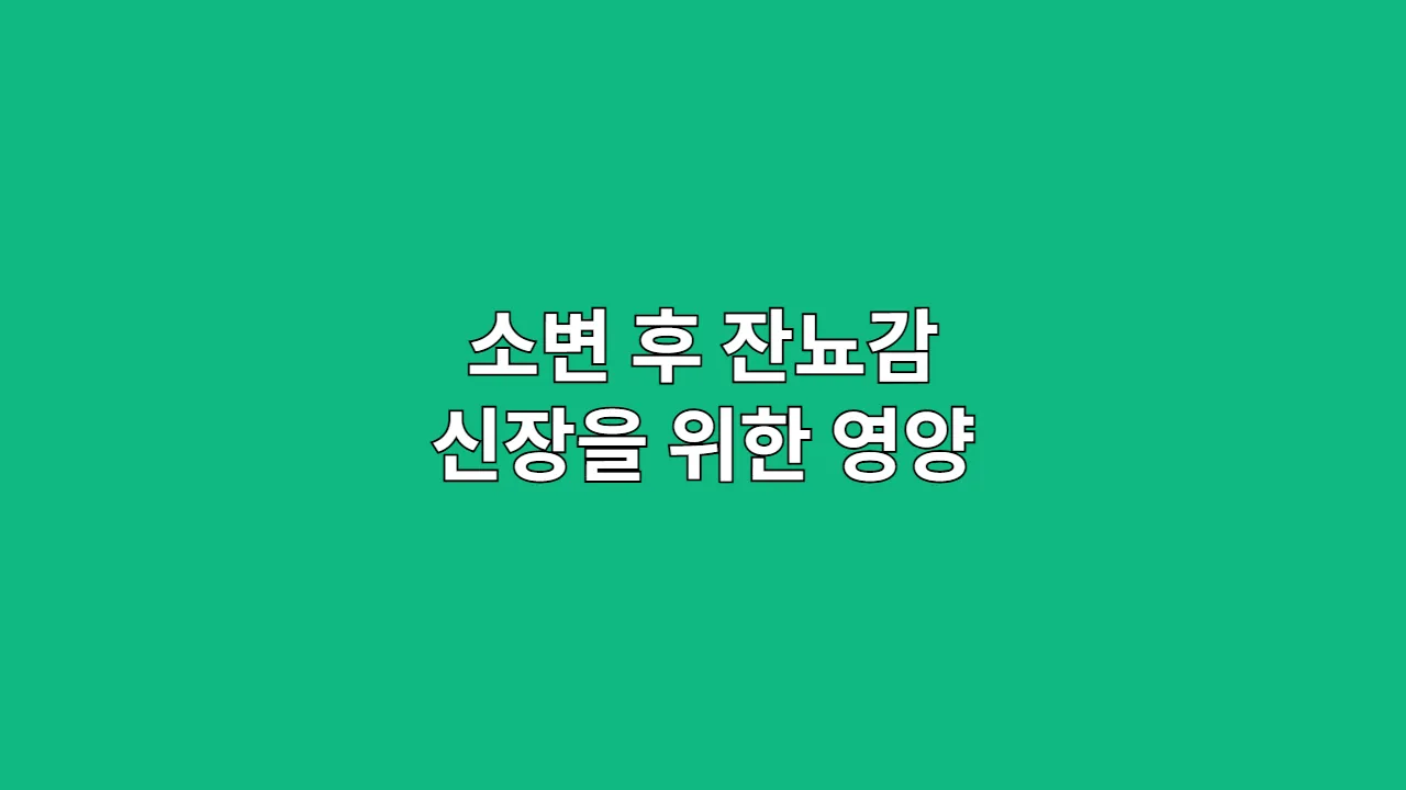 소변 후 잔뇨감과 찝찝함, 내 몸의 프리미엄 필터 '신장'을 위한 영양 성분 플렉스