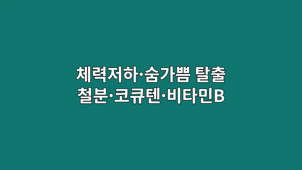 예전 같지 않은 체력과 숨 가쁨, 모험가의 3단계 에너지 증폭 작전 (2025년)