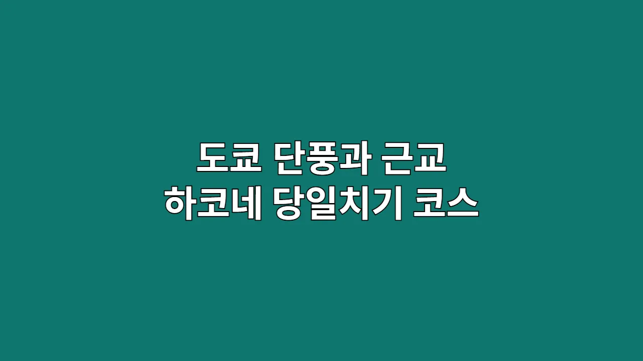세련된 도시와 대자연의 조화, 도쿄 단풍과 근교 하코네 당일치기 코스