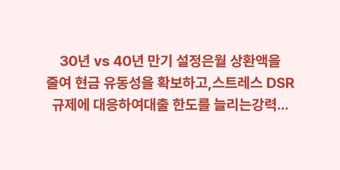 30년 vs 40년 만기 설정: 30년 vs 40년 만기 설... (1)