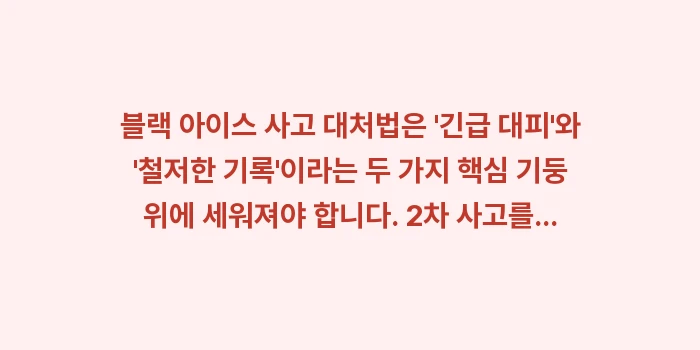블랙 아이스 사고 대처법: 블랙 아이스 사고 대처법은... (2)