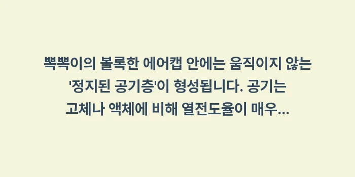 뽁뽁이 난방비: 뽁뽁이의 볼록한 에어캡 안에... (1)