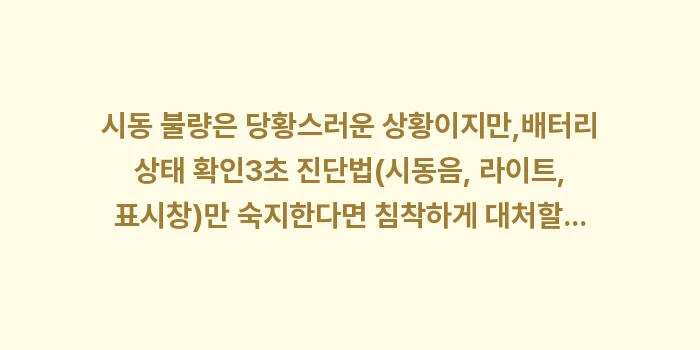 배터리 상태 확인: 시동 불량은 당황스러운 상황... (2)