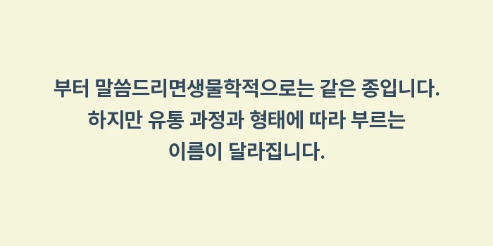석화 굴 차이: 부터 말씀드리면생물학적으로는... (1)