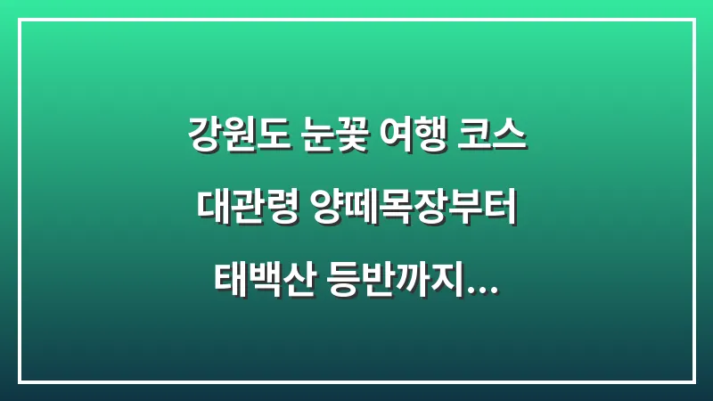 강원도 눈꽃 여행 코스: 대관령 양떼목장부터 태백산 등반까지 대표 이미지