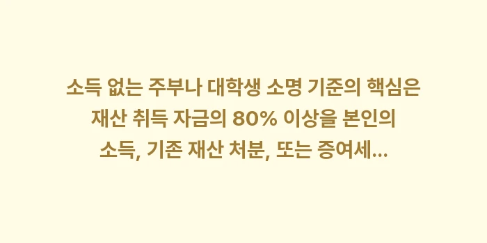 소득 없는 주부나 대학생 소명 기준: 소득 없는 주부나 대학생 소... (1)