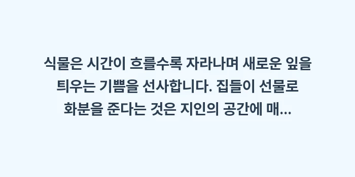 실내 공기정화 식물 추천: 식물은 시간이 흐를수록 자라... (2)