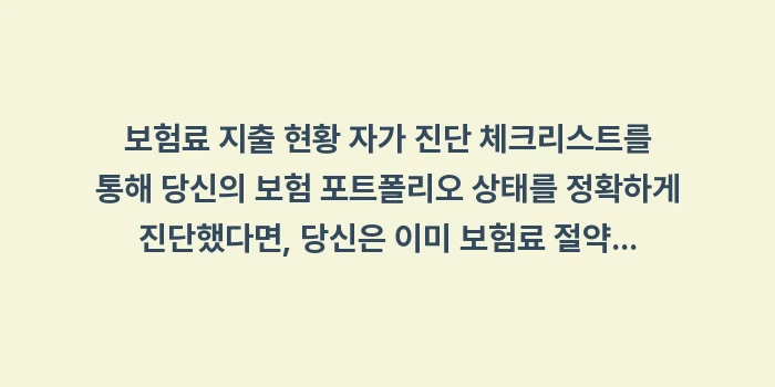 보험료 지출 현황 자가 진단 체크리스트: 보험료 지출 현황 자가 진단... (2)