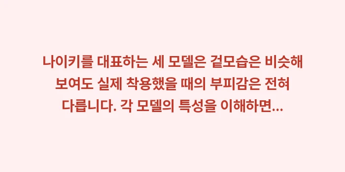 나이키 신발 사이즈표: 나이키를 대표하는 세 모델은... (1)