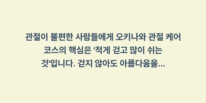 오키나와 관절 케어 코스: 관절이 불편한 사람들에게 오... (1)