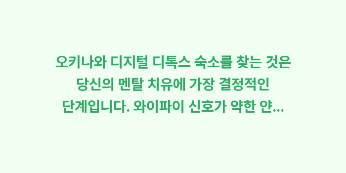 오키나와 디지털 디톡스 숙소: 오키나와 디지털 디톡스 숙소... (1)