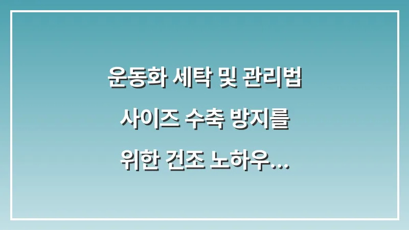 운동화 세탁 및 관리법: 사이즈 수축 방지를 위한 건조 노하우 대표 이미지