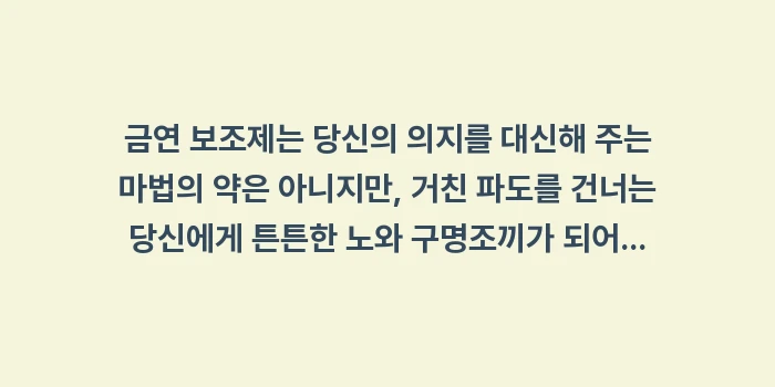 금연 보조제 종류 및 효과: 금연 보조제는 당신의 의지를... (2)