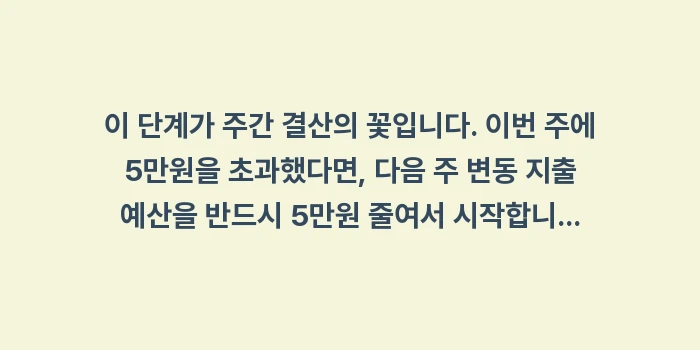 1월 가계부 지출 관리의 꽃 '주간 결산': 이 단계가 주간 결산의 꽃입... (1)