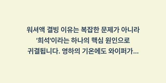 워셔액 결빙 이유: 워셔액 결빙 이유는 복잡한... (1)