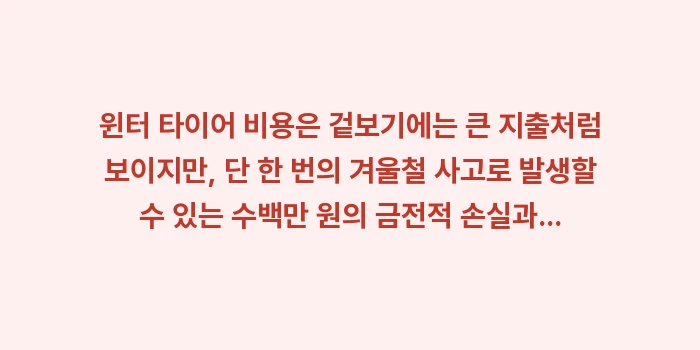 윈터 타이어 비용: 윈터 타이어 비용은 겉보기에... (1)