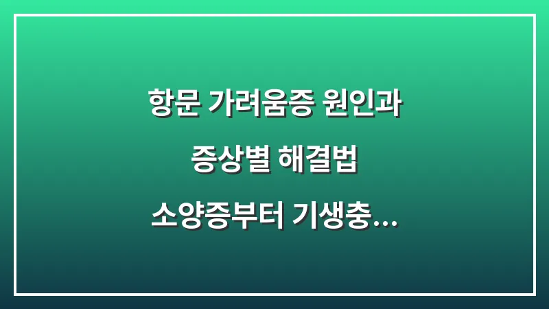 항문 가려움증 원인과 증상별 해결법: 소양증부터 기생충까지 완벽 가이드 대표 이미지