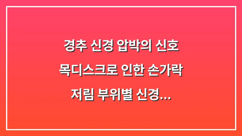 경추 신경 압박의 신호: 목디스크로 인한 손가락 저림 부위별 신경 지도 분석 대표 이미지
