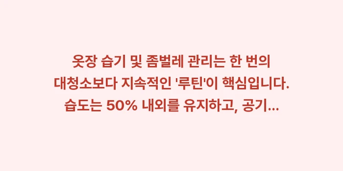 옷장 습기 및 좀벌레 완전 정복: 옷장 습기 및 좀벌레 관리는... (2)