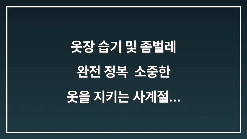 옷장 습기 및 좀벌레 완전 정복: 소중한 옷을 지키는 사계절 통합 관리 가이드 대표 이미지