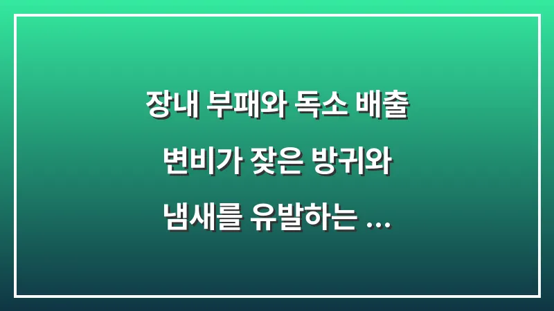 장내 부패와 독소 배출: 변비가 잦은 방귀와 냄새를 유발하는 과학적 이유 대표 이미지