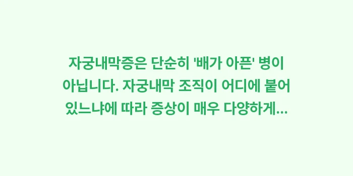 자궁내막증 자가진단: 자궁내막증은 단순히 배가... (1)