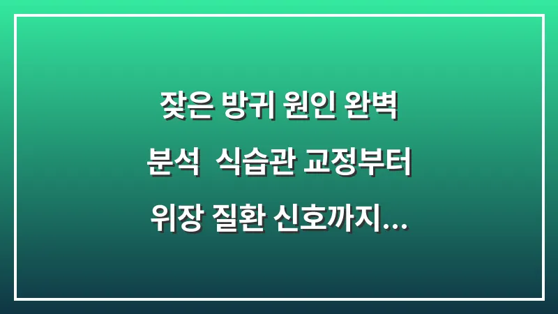 잦은 방귀 원인 완벽 분석: 식습관 교정부터 위장 질환 신호까지 해결 가이드 대표 이미지