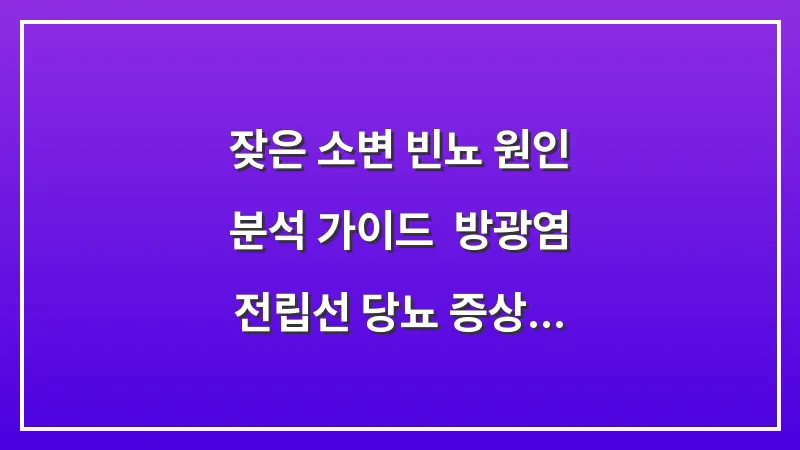 잦은 소변 빈뇨 원인 분석 가이드: 방광염 전립선 당뇨 증상 차이와 해결법 대표 이미지