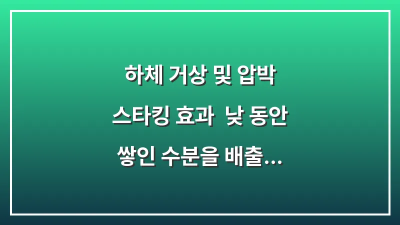 하체 거상 및 압박 스타킹 효과: 낮 동안 쌓인 수분을 배출하는 저녁 요법 대표 이미지