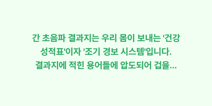 간 초음파 결과 해석: 간 초음파 결과지는 우리 몸... (2)