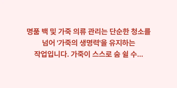 명품 백 및 가죽 의류 관리: 명품 백 및 가죽 의류 관리... (2)